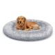 Golden Retriever auf rundem grauem flauschigem Donut-Hundebett, weißer Hintergrund.