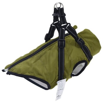Hundemantel grün XL