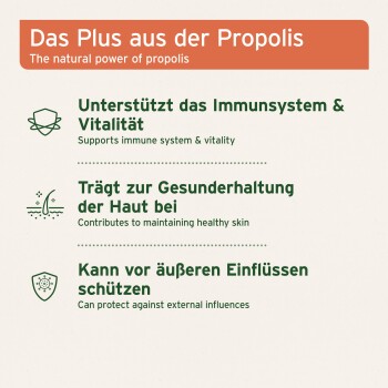 Propolis-Infografik: „Das Plus aus der Propolis“ — unterstützt das Immunsystem, die Hautgesundheit und den Schutz.