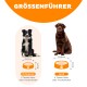Größentabelle für Hundenäpfe: Mittel (Border Collie) 22,2 cm, 5,1 cm tief für 2 Tassen; Groß (Labrador) 29,9 cm, 5,7 cm tief für 4 Tassen.