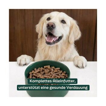 Golden Retriever mit einer Schüssel Kibble; deutscher Text: ‚Komplettes Alleinfutter, unterstützt eine gesunde Verdauung‘