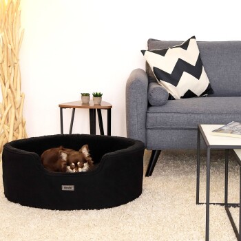 Ein kleiner brauner Hund, der in einem schwarzen Haustierbett auf einem plüschigen Teppich ruht, mit einem grauen Sofa und einem Holztisch im Hintergrund.
