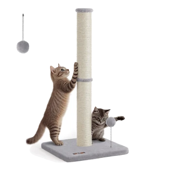 Zwei getigerte Kätzchen spielen an einem grauen Katzenkratzbaum mit befestigten grauen Bommelspielzeugen.