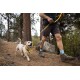 Eine Person in Shorts führt einen glücklichen, hellen Hund an der Leine auf einem bewaldeten Pfad, umgeben von hohen Bäumen und Felsen.
