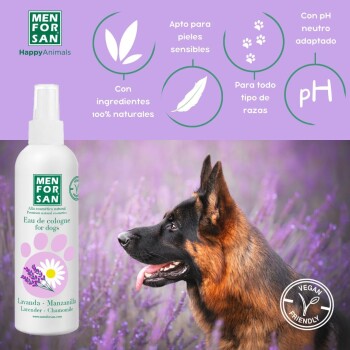 Ein Deutscher Schäferhund neben MENFORSAN Hundeduft, mit Lavendel und Kamille, vor einem lavendelfarbenen Hintergrund. 100% natürliche Zutaten.