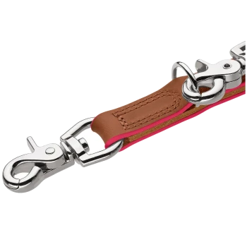 Nahaufnahme des Verbindungsstücks einer braunen Lederhundeleine mit pinker Kante und zwei silbernen Metallkarabinerhaken