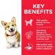 A corgi stands next to a red panel highlighting pet food benefits: high-quality protein, Omega-6, Vitamin E, and lamb and rice.