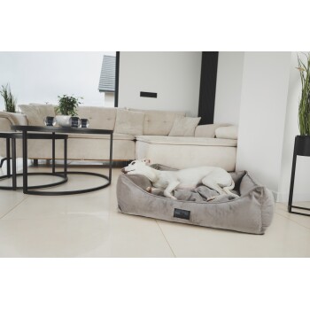 Ein entspannter weißer Hund liegt auf einem plüschigen grauen Haustierbett in einem modernen Wohnzimmer, mit einem beigen Sofa und einem schwarzen Couchtisch im Hintergrund.