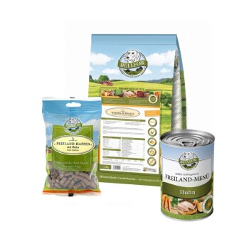 Labrador Futter Set