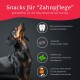 Ein Dackel schaut auf den Text "Snacks für Zahnpflege," der Zutaten für die Zahngesundheit von Hunden hervorhebt.