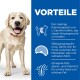 Science Plan Light Adult Large Breed mit Huhn 2x14 kg