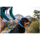 Eine Person in einem türkisfarbenen Langarmshirt befestigt eine blaue Leine am Halsband eines Rottweilers in einer malerischen Umgebung mit Bergen im Hintergrund.