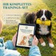 Ein golden retriever mit einem gelben Trainingsspielzeug im Mund, im Freien. Text unten: "Eine exzellente Hilfe für's Rückruftraining."