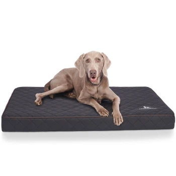 Ein hellbrauner Hund liegt bequem auf einem dunklen, gesteppten Haustierbett, das ein schlankes Design mit einem Logo in der Ecke zeigt.