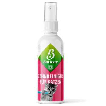 Weißer Sprühflakon Baviette Zahnpflegespray für Katzen mit grün/rosa Etikett 'Zahnreiniger für Katzen' und Katze beim Zähneputzen.