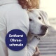 Person umarmt einen weißen Hund am Wasser, kreisförmiges blaues Siegel mit der Aufschrift „Entfernt Ohrenschmalz“