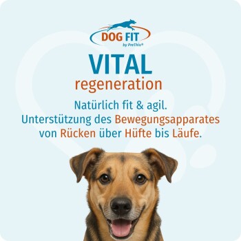 DOG FIT Logo, 'VITAL regeneration' und deutscher Text zur Unterstützung der Bewegung von Rücken über Hüfte bis Gliedmaßen; teilweiser Hundekopf sichtbar
