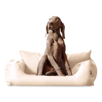 NEMO Hundebett Hundesofa S M L Hundekorb Katzenbett 65 80 100cm creme 1 m, 25 cm, 80 cm