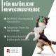 Ein verspielter schwarz-weißer Hund läuft durch einen Weg, der mit lila Blumen und Grün gesäumt ist, und strahlt Freude und Energie aus.
