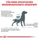 Infografik über Hundefutterunverträglichkeiten mit einer Hundesilhouette, die Hautveränderungen, chronische Krankheiten und Verdauungsprobleme hervorhebt.