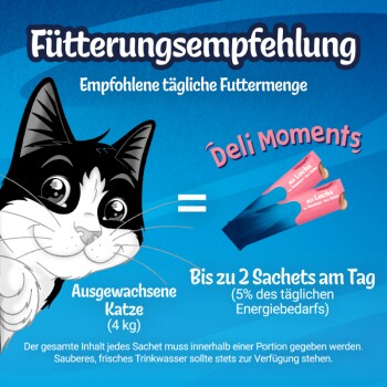 Blaues Poster mit gezeichnetem Smoking-Kater und pinken Deli Moments-Sachets; deutscher Text 'Fütterungsempfehlung' und 'Bis zu 2 Sachets'.