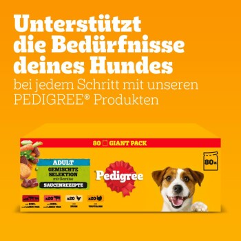 Pedigree Hundefutterverpackung mit einem riesigen Paket von 80 Portionen, mit Text zur Unterstützung der Bedürfnisse von Hunden und einer Auswahl an Geschmacksrichtungen.