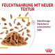 Feuchtfutter mit neuer Textur, zeigt gleichförmige Stückchen in schmackhafter Soße, auf weißem Hintergrund.
