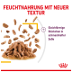 Feuchtfutter mit neuer Textur, zeigt gleichförmige Stückchen in schmackhafter Soße, auf weißem Hintergrund.