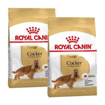 Zwei Säcke Royal Canin Adult Cocker Hundefutter, mit goldenem Design und Bildern von Cocker Spaniels, die eine rassespezifische Ernährung betonen.