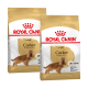 Zwei Säcke Royal Canin Adult Cocker Hundefutter, mit goldenem Design und Bildern von Cocker Spaniels, die eine rassespezifische Ernährung betonen.