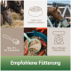 Collage zeigt Pferde, die Heu und Futter fressen, Pferdefutter mit Karotten und deutschen Text zu Fütterungsempfehlungen.
