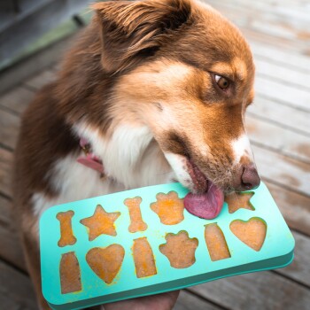 Silikonform mit fünf Formen: Knochen, Sterne, Pfoten, Herzen, Flaschen; Größe 27,2 x 12,2 cm, beschriftet mit "Hochwertiges Silikon."