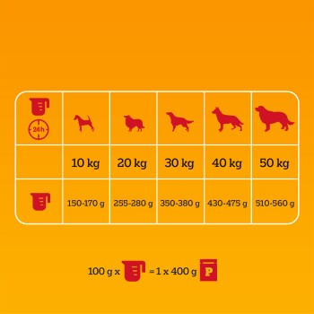 Fütterungsleitfaden für Hunde, der Gewichtskategorien (10-50 kg) mit entsprechenden täglichen Futtermengen (150-560 g) auf einem orangefarbenen Hintergrund zeigt.