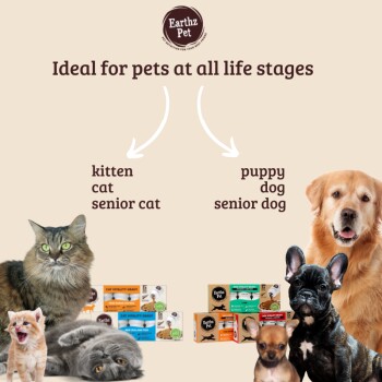 Earthz Haustierprodukte zeigen verschiedene Futterpakete für Kätzchen, Katzen, Welpen und Senioren, mit dem Slogan 'Ideal für alle Lebensphasen.'