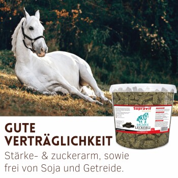 Weißes Pferd liegt im Gras neben einem Eimer Supravit-Leckerlis, Text: 'GUTE VERTRÄGLICHKEIT'; wenig Stärke & Zucker, sojafrei & getreidefrei