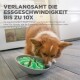 Ein Corgi-Hund frisst aus einer grünen langsamen Futter-Schüssel, die dazu entworfen wurde, die Fressgeschwindigkeit zu verlangsamen, mit Text, der ihre Vorteile bewirbt.