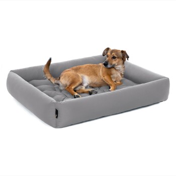 Ein kleiner brauner Hund liegt bequem auf einem grauen rechteckigen Haustierbett mit tufted Design und schaut zur Seite.