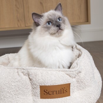Eine flauschige weiße Katze mit blauen Augen sitzt in einem gemütlichen beigen Haustierbett mit der Aufschrift "Scruffs". Der Hintergrund zeigt Holzschränke.