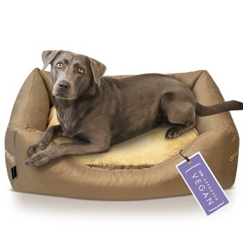 Ortho Hundebett Perfect Dreams beige S