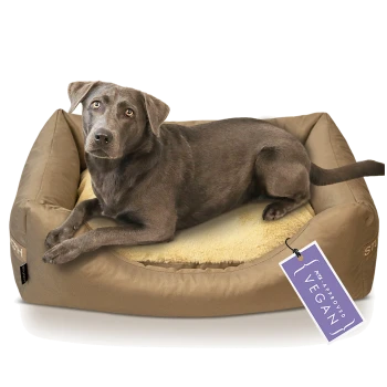 Ein grauer Hund ruht auf einem gemütlichen, tanfarbigen Haustierbett mit einem weichen cremefarbenen Innenraum. Ein Etikett, das am Bett befestigt ist, lautet: "Ich bin genehmigt vegan."