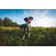 Ein verspielter Hund mit schwarz-weißer Fellfarbe steht auf einer grasbewachsenen Fläche und trägt ein blaues Geschirr vor einem klaren blauen Himmel.