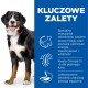 Uśmiechnięty bernenski pies górski stoi obok niebieskiego panelu podkreślającego korzyści z karmy dla zwierząt: wsparcie mózgu, energia, Omega-3/-6 i łatwe trawienie.