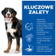 Uśmiechnięty bernenski pies górski stoi obok niebieskiego panelu podkreślającego korzyści z karmy dla zwierząt: wsparcie mózgu, energia, Omega-3/-6 i łatwe trawienie.