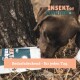 Ein brauner Hund schnüffelt an einem Beutel Haustierfutter, der mit "INSEKTor columbo" beschriftet ist, mit dem Text "Bedarfsdeckend - für jeden Tag" auf einem Waldboden.
