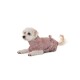 Ein kleiner Hund trägt einen weichen, rosa, flauschigen Mantel mit einer Schleife und liegt vor einem weißen Hintergrund.