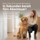 Golden Retriever sitzt drinnen, der Besitzer hält die Leine; deutscher Text: 'In Sekunden bereit fürs Abenteuer!'