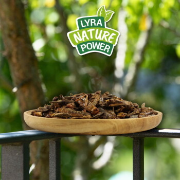 Holzteller gefüllt mit getrockneten Grillen auf einem Geländer, darüber das Logo „Lyra Nature Power“ in einer grünen Außenumgebung.