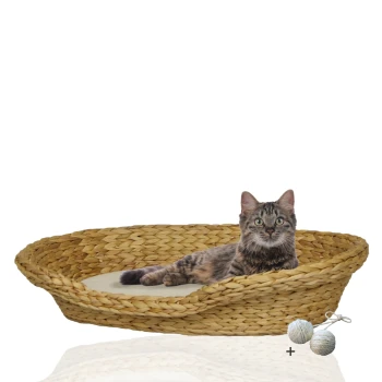 Eine getigerte Katze, die in einem geflochtenen Strohhundebett mit einem weichen Kissen liegt, begleitet von zwei Naturfaserbällen.