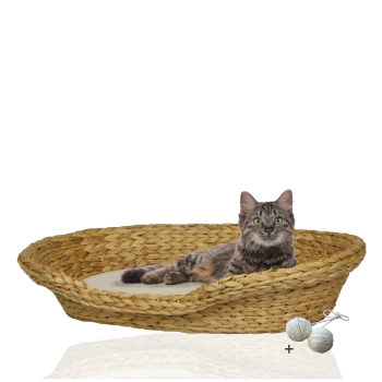 Eine getigerte Katze, die in einem geflochtenen Strohhundebett mit einem weichen Kissen liegt, begleitet von zwei Naturfaserbällen.
