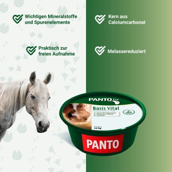 Ein grauer Pferdekopf wird neben einem blauen Behälter mit der Aufschrift "PANTO Leckschale für Pferde" gezeigt, mit ernährungsphysiologischen Angaben und Details.